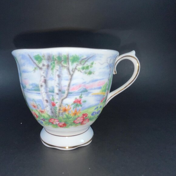 Royal Albert Silver Birch Tea Cup & Saucer Bone China Made in England - Picture 3 of 10